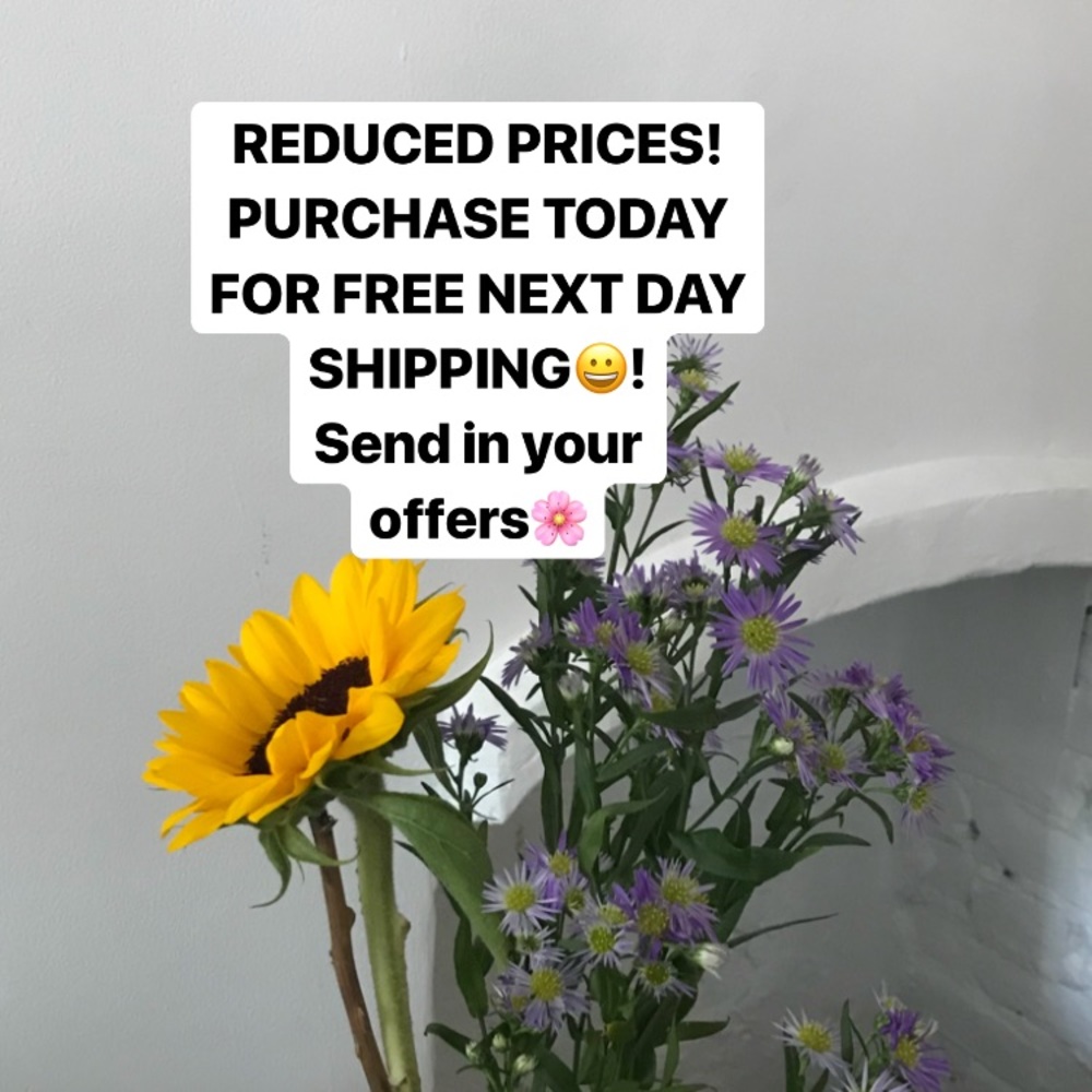 REDUCED PRICES! MUST SELL! FREE SHIPPING!